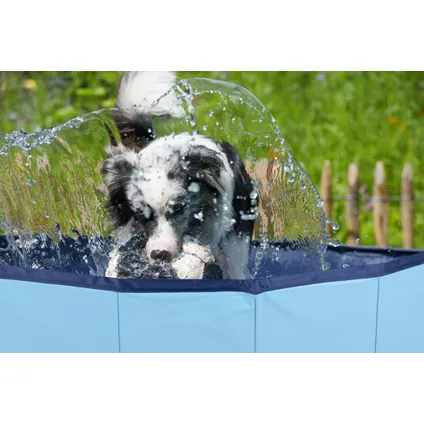 Maxxpro hondenzwembad opvouwbaar 4