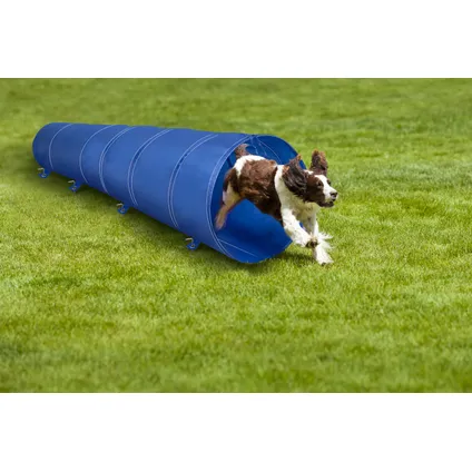Pet Agility Obstacle Tunnel Chien 3M 5
