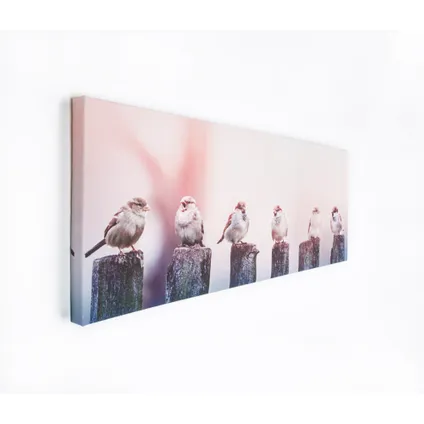 Toile imprimée Oiseaux du matin 100 x 40cm Rose 4