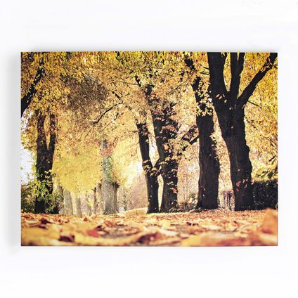 Canvas met MDF frame | Herfst | Grootschalig | 75x100cm