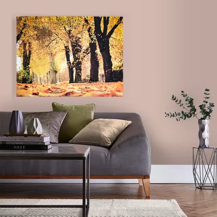 Canvas met MDF frame | Herfst | Grootschalig | 75x100cm 2