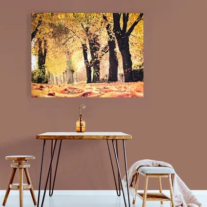 Canvas met MDF frame | Herfst | Grootschalig | 75x100cm 3