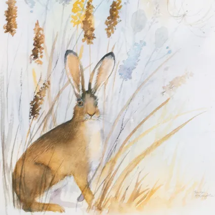Laura Ashley | Country Hare - Print in Frame - 40x30 cm 4