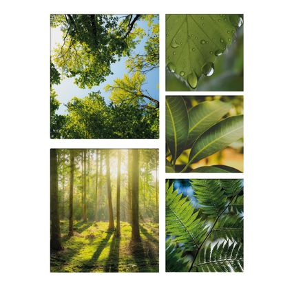 Set de 5 toiles imprimées Nature et forêt 80 x 60cm Vert