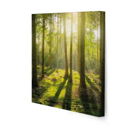 Set de 5 toiles imprimées Nature et forêt 80 x 60cm Vert 3