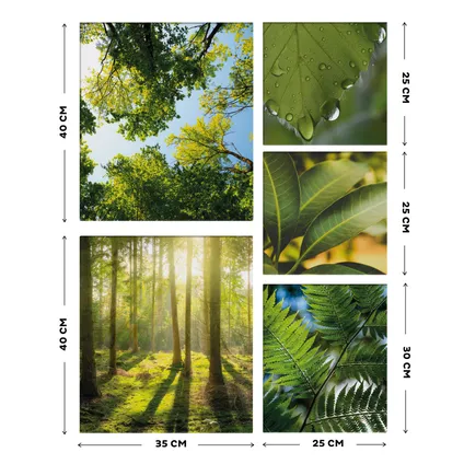 Set de 5 toiles imprimées Nature et forêt 80 x 60cm Vert 4