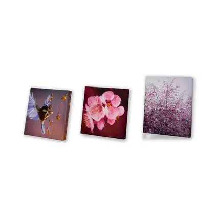 Set de 5 toiles imprimées Fleurs 80 x 60cm Rose 4