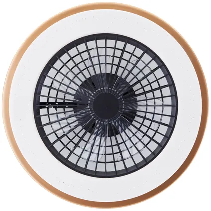 Ventilateur de plafond Brilliant Slimline doré noir ⌀49cm CCT RGB 40W 11