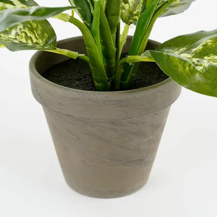 Mica Decorations Kunstplant Dieffenbachia - groen - 40 cm - in pot 2