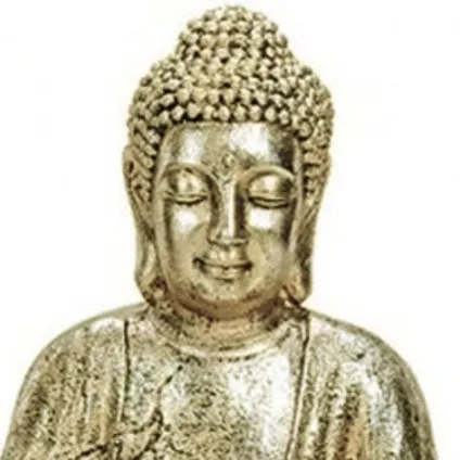 Boeddha beeld - binnen en buiten - polystone - goudkleurig - 43 cm 2