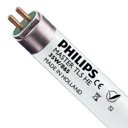 Philips MASTER TL5 HE 35W - 865 Daglicht | 145cm