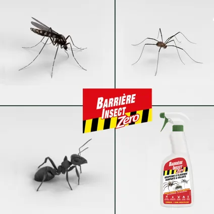 Compo insecticide spray Barrière Insect Zero 500 ml 5