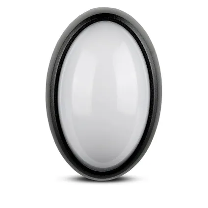 Zwarte ovale LED Plafondlamp 4