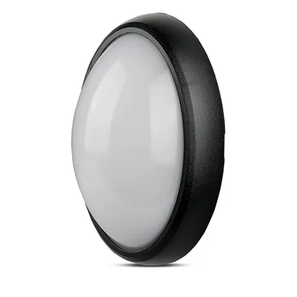 Zwarte ovale LED Plafondlamp 5