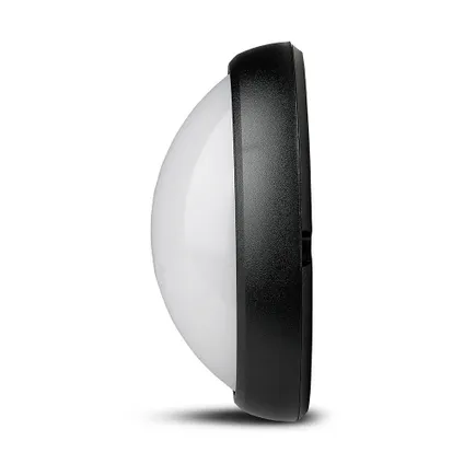 Zwarte ovale LED Plafondlamp 6