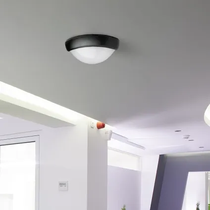 Zwarte ovale LED Plafondlamp 10