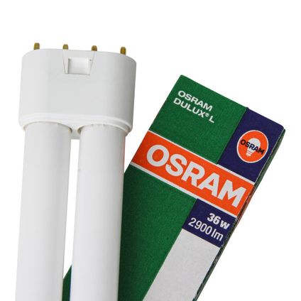 Osram Dulux L 36W 840 | Blanc Froid - 4-Pins