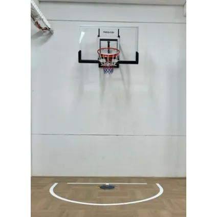 Pegasi - basketbalbord Pro 140 x 80 cm 2