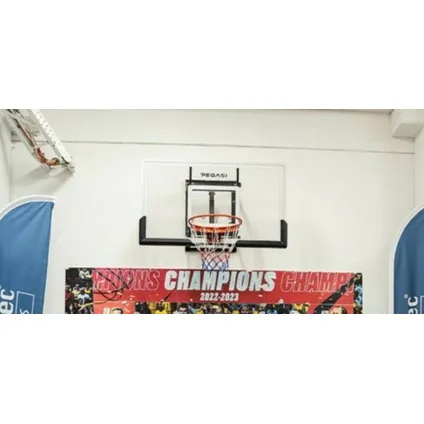 PEGASI Basketball Board Pro 140 x 80 cm 4