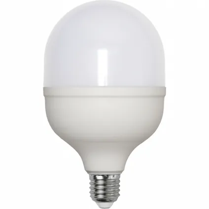 Staaflamp - E27 - 30W - Daglicht - 6000K - Opaal 2