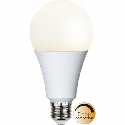 Lampe LED à haute luminosité - E27 - 19W