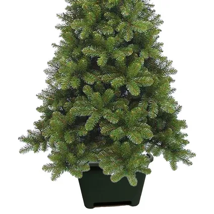 Botanic line kerstboomstandaard 40 cm vierkant donkergroen 2