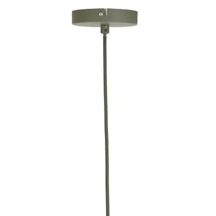 Light & Living - Hanglamp PLUMERIA - Ø42x50cm - Groen 6