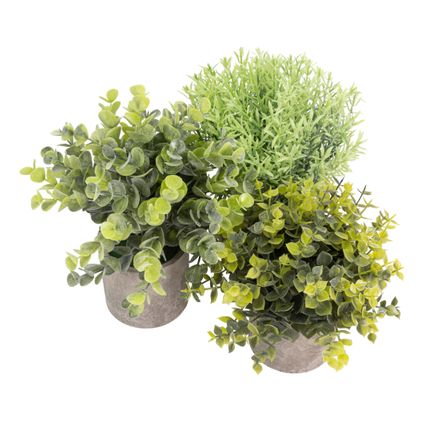 GreenDream® Kunstplanten - Kleine kunstplanten - Kamerplanten - 3 stuks - Kunstplanten 20cm