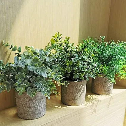GreenDream® Kunstplanten - Kleine kunstplanten - Kamerplanten - 3 stuks - Kunstplanten 20cm 2