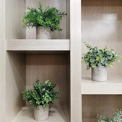 GreenDream® Kunstplanten - Kleine kunstplanten - Kamerplanten - 3 stuks - Kunstplanten 20cm 4