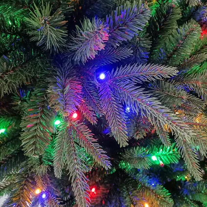 Wintervalley Trees - Sapin de Noel artificiel Filip avec eclairage LED - 210x188cm - Vert 5