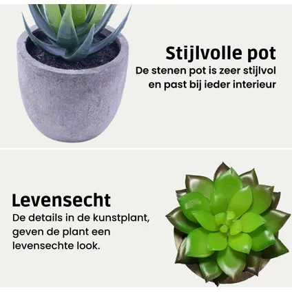 GreenDream Kunstplanten - Vetplanten in Pot 6 stuks - Cadeautip 7