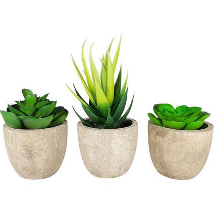 GreenDream® Kunstplanten - Nep planten - Vetplanten - 3 stuks - Cadeautip