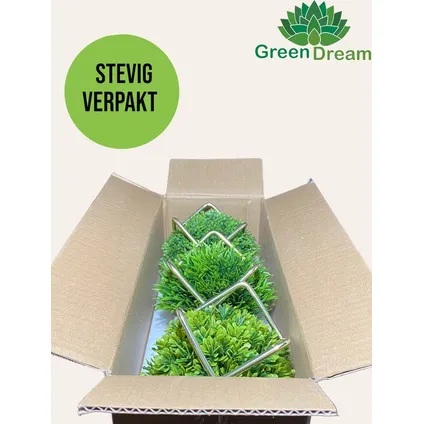 GreenDream® Plantes artificielles d'intérieur - 15x12 cm - Lot de 3 Plantes succulentes - cadeau 3