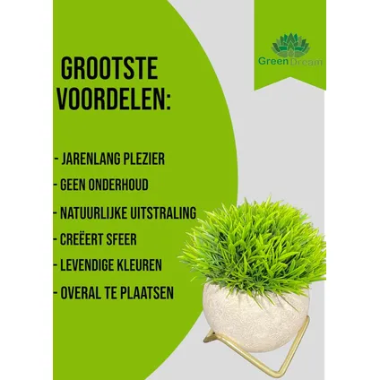 GreenDream® Plantes artificielles d'intérieur - 15x12 cm - Lot de 3 Plantes succulentes - cadeau 5