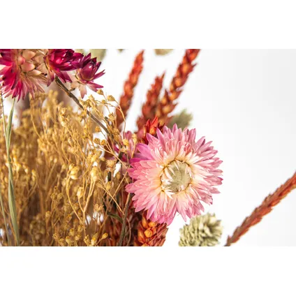 Boeket 'Blooms Magic of Nature' - Droogbloemen - Hoogte 55 cm 3