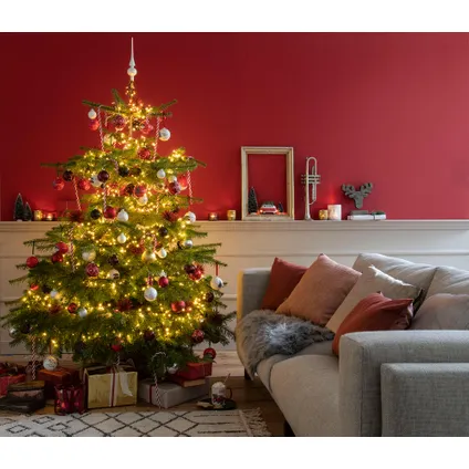 Nordmann Kerstboom 300-350 cm - Zonder Kluit + Garantie certificaat + Gratis voeding 3