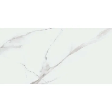 Carrelage sol et mur Lumière - Céramique - Blanc - 120x60cm - Contenu de l'emballage 1,43m²