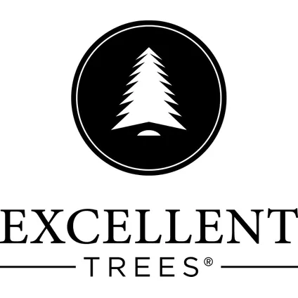Excellent Trees® LED Ulvik 210 cm - Premium Kerstboom met 460 lampjes 5