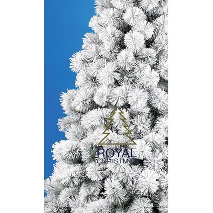 Royal Christmas Sapin de Noël Artificiel Chicago 240cm avec neige 3