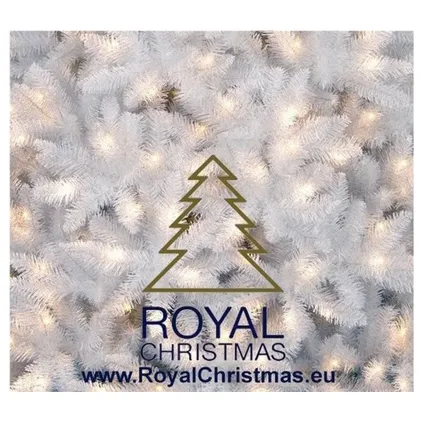 Royal Christmas Sapin de Noël Artificiel Blanc Washington Promo 210cm avec LED 3