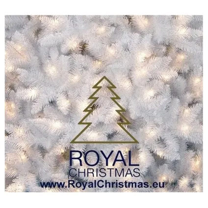 Royal Christmas Witte Kunstkerstboom Washington Promo 240cm met LED 3
