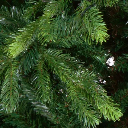 Premium Kerstboom Excellent Trees® Kalmar 150 cm - Luxe uitvoering 2