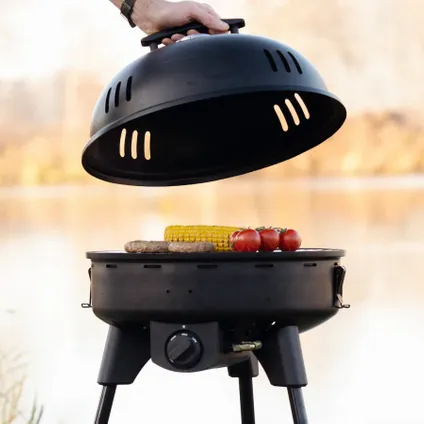 Mestic barbecue Best Chef MB-300 7