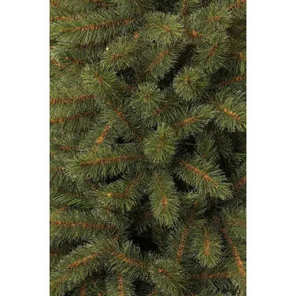 Triumph Tree kunstkerstboom bristlecone fir maat in cm: 155 x 99 groen - GROEN 3