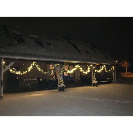 Royal Christmas Guirlande Washington 540cm inclusief LED-verlichting | Ook geschikt voor buiten 8