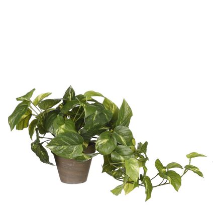 Plante artificielle Mica Decorations Pothos - 17x17x44 cm - Vert