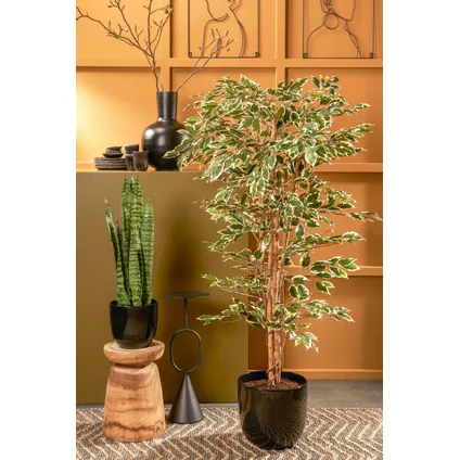 Plante artificielle Mica Decorations Hawaii - 90x90x180 cm - Vert 5