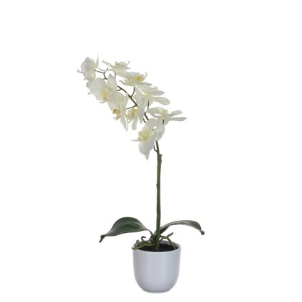 Mica Decorations Phalaenopsis Kunstplant - 16x16x60 cm - Wit