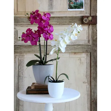Mica Decorations Phalaenopsis Kunstplant - 16x16x60 cm - Wit 2